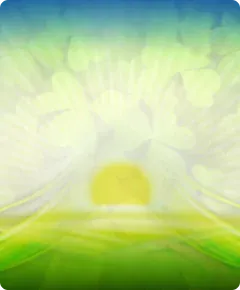 Hot Luckbackground