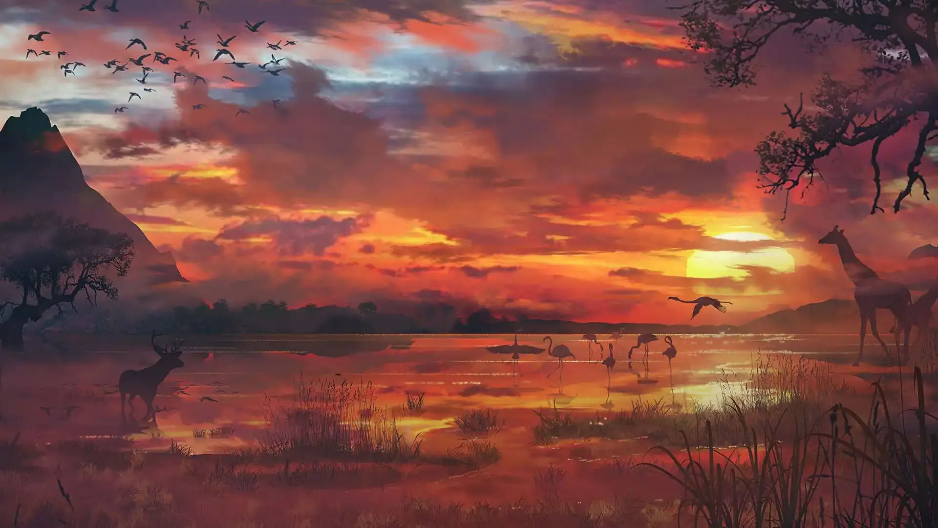 background-image